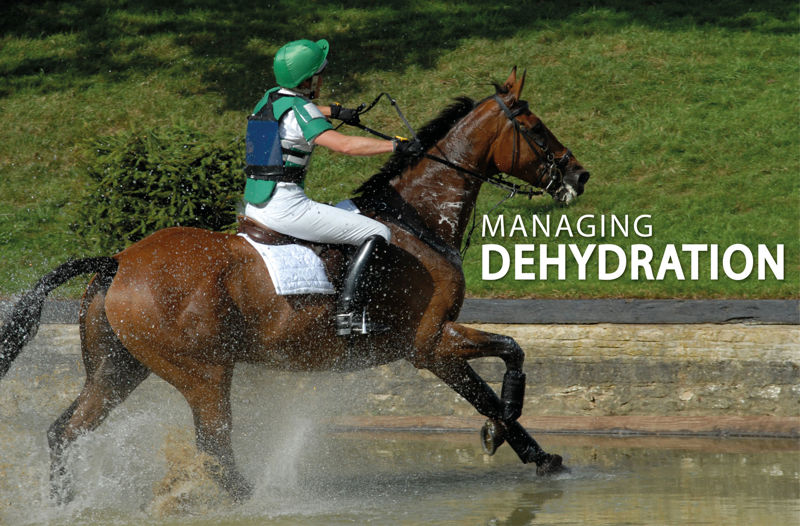 Equine Science Matters™ - Managing Dehydration